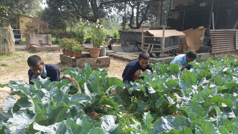 Agriculture and Animal Husbandry Training